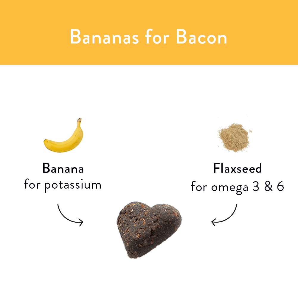 Bananas for Bacon Soft-Baked Dog Treats (4lb) - Shameless Pets - Consumerhaus