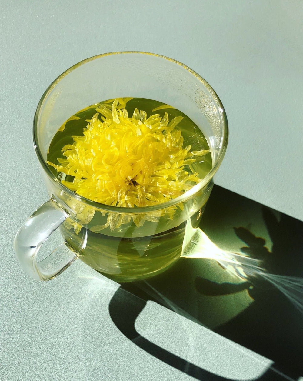 Royal Chrysanthemum Tea - The Qi - Consumerhaus