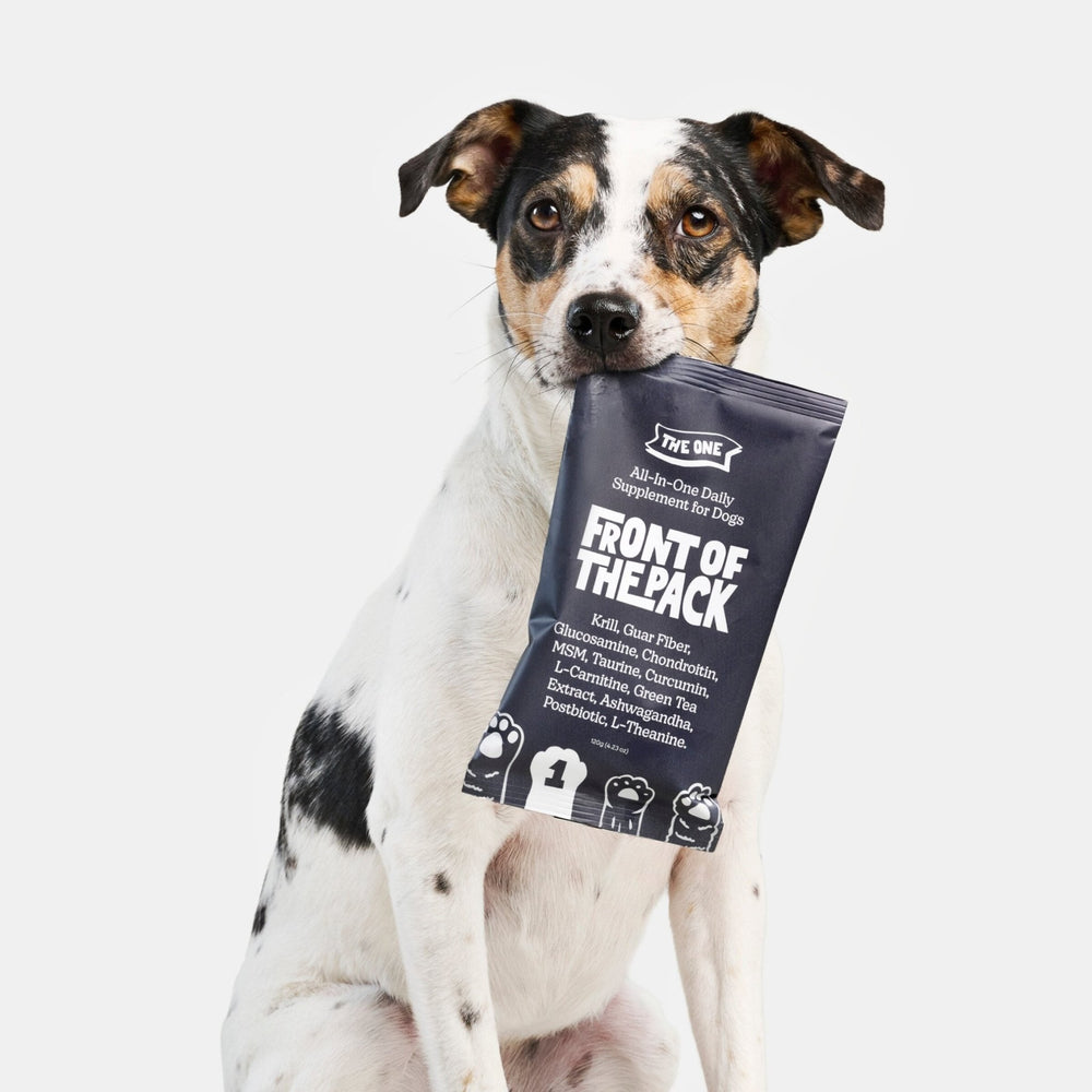 The One Multivitamin for Dogs - Front of the Pack - Consumerhaus